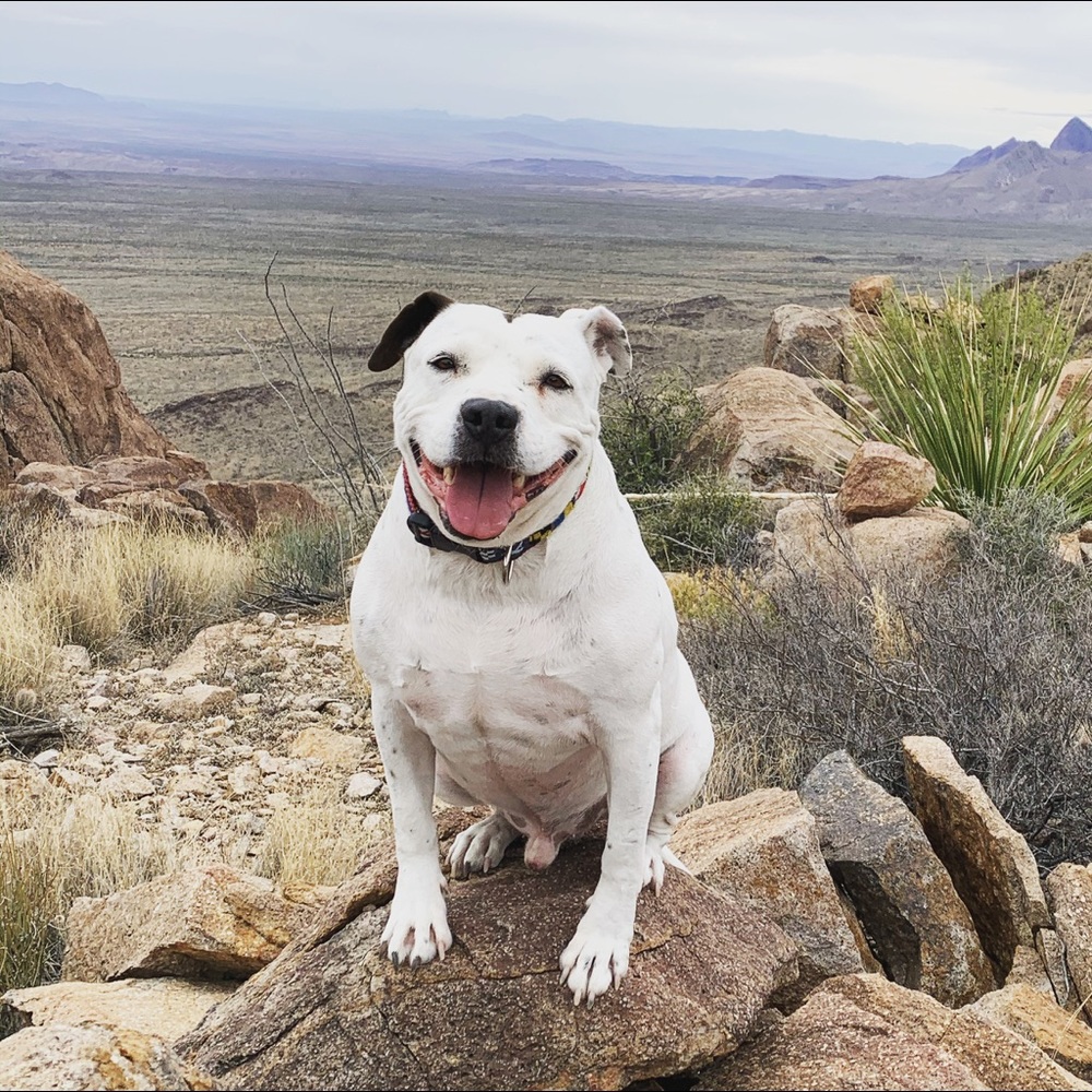 Meet your Posher, Jody